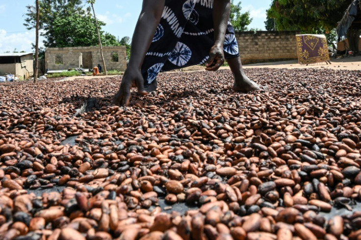 Los dos mayores productores de cacao han establecido demandas para que los fabricantes paguen precios más altos por sus productores.