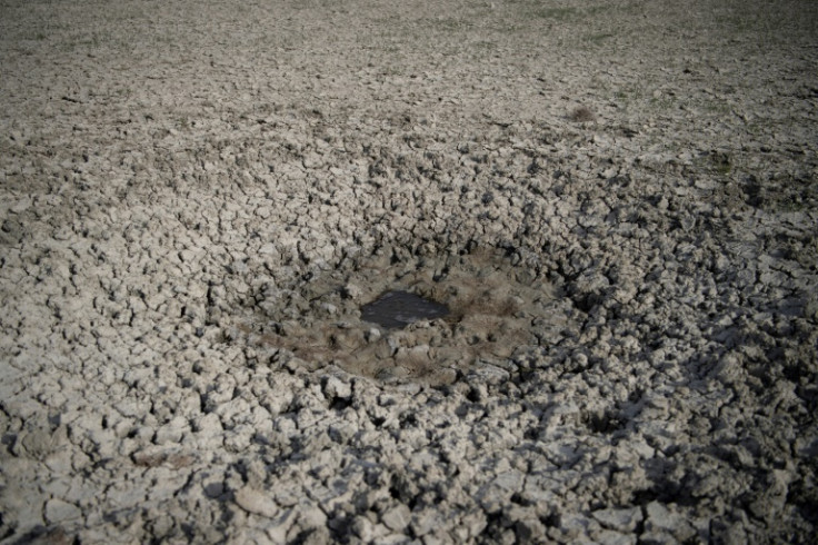 Un pozo de agua en el Parque Natural de Doñana en España que está sintiendo los efectos de una sequía prolongada