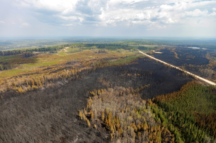 Un paisaje quemado causado por incendios forestales se muestra cerca de la entrada, área de Wild Hay, Alberta, Canadá, el 10 de mayo.