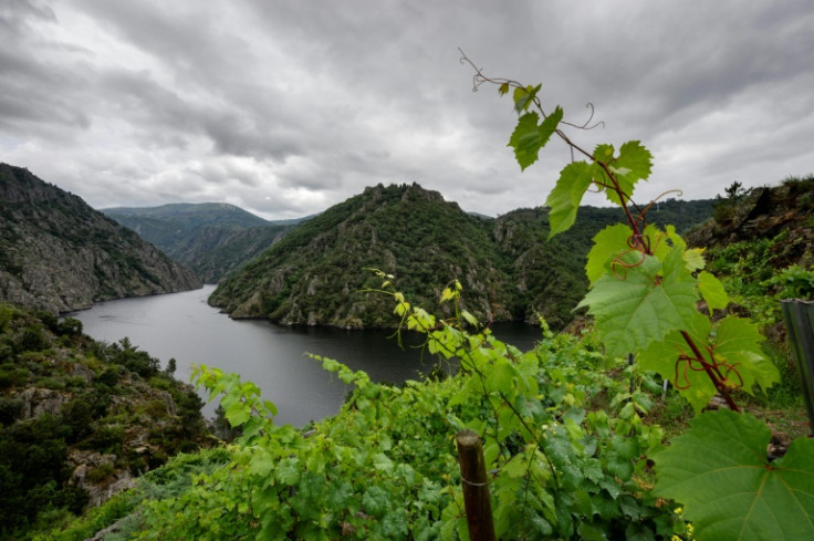 Alberto Núñez Feijoo creció en un pueblo rural de Galicia, una de las regiones de España más conocidas por sus ríos y montañas.