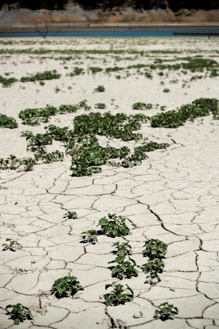 El embalse de Mediano, en Huesca, se ha visto gravemente afectado por la sequía