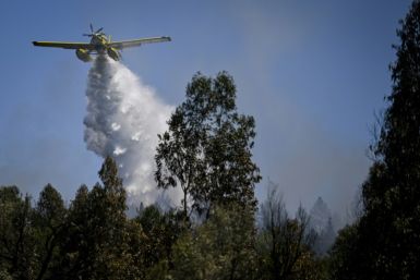 Los bomberos utilizan bombarderos de agua para combatir feroces incendios en Portugal