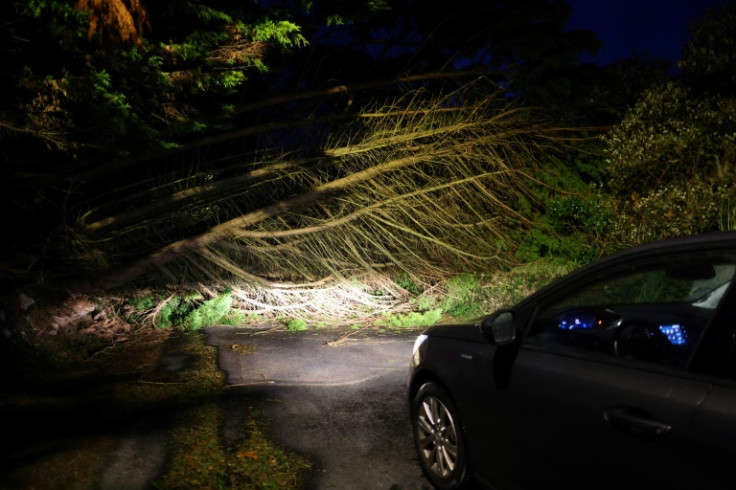 Árboles arrancados provocaron apagones eléctricos y al menos una muerte en Francia